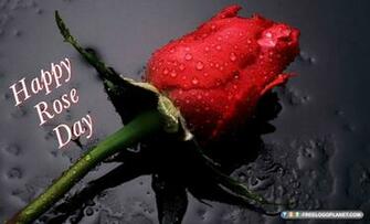 Happy Rose Day HD Wallpaper Pics