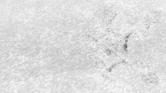 Blizzard Snow Storm Wallpaper Frozen Metal