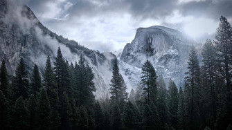 Nature Wallpaper