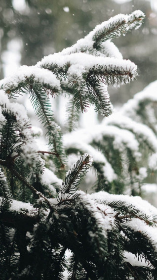 Wonderful Winter World iPhone X Wallpaper Preppy