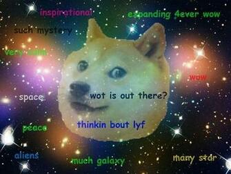 Very Saved The Meme That Almost Wasn T Animals Australia Unleashed