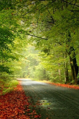 Wallpaper Nature iPhone