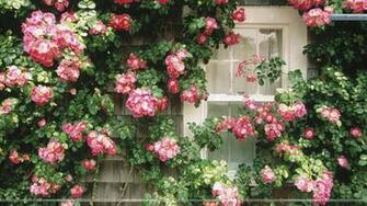 Best Nantucket Desktop Background Beautiful