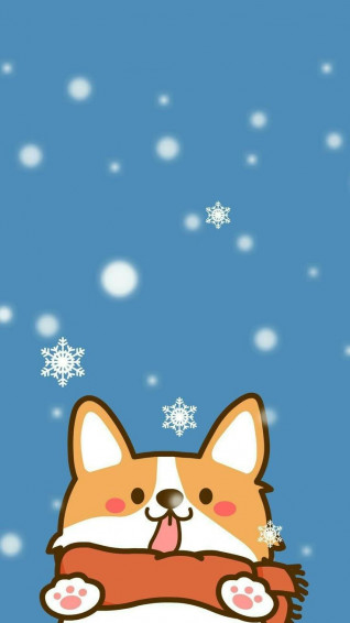 Zuza Jarocka On Corgie Wallpaper