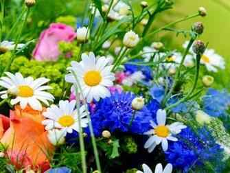Spring Flowers Wallpaper HD Pictures One