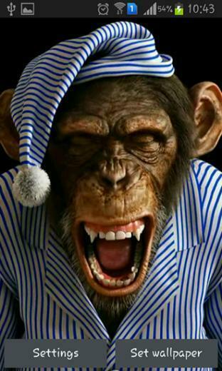 Live Wallpaper Screenshots How Does It Look Monkey 3d