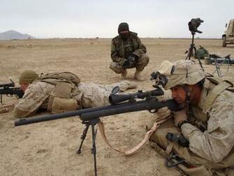 Marine Scout Sniper Wallpaper If You Have An Airsoft