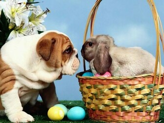 Easter Wallpaper HD Background