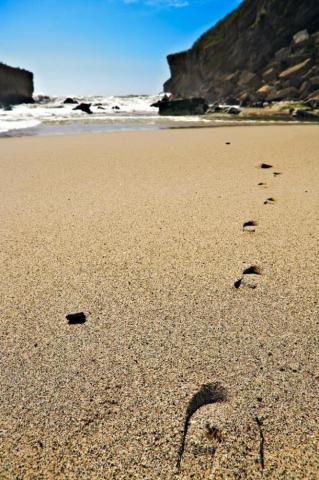 Wallpaper Background Footprints Scenic Sand Kohaihai Beach