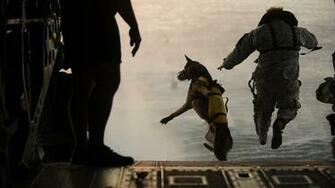 Us Army Special Forces Wallpaper