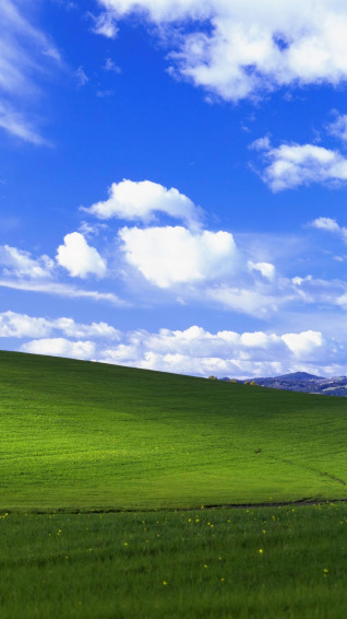 Windows Xp Background Wallpaper iPhone Phone 4k 1460e