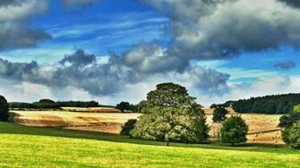 Country Scene Computer Wallpaper Desktop Background