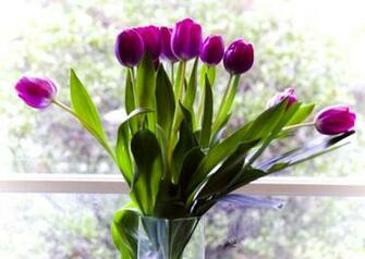 Purple Flowers Bouquet In Vase Desktop Wallpaper Spot