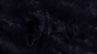 Wolf Aesthetic Wallpaper