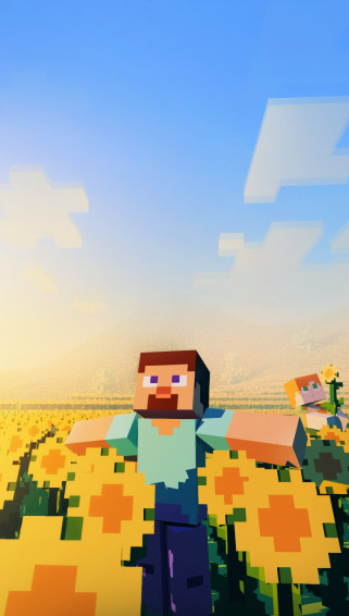 Minecraft Steve Wallpaper