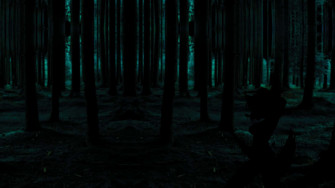 Dark Green Forest Wallpaper
