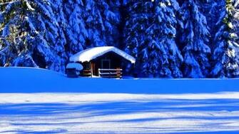 Winter Sun Wallpaper Net