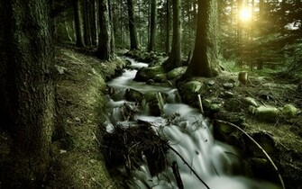 Waterfall HD Wallpaper