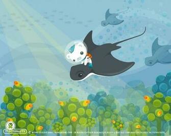 Here Comes A Stingray Ok It S Really Bat Ray According To