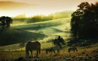 Countryside Wallpaper HD Desktop 4k