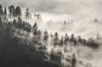 Mist Winter Trees In Mountains 5k Chromebook Pixel HD 4k