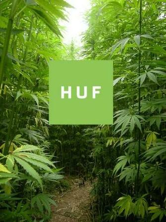 Image Weed Swag Des Photos De Fond D Cran