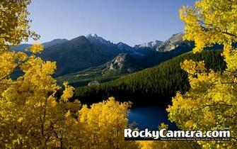 Estes Mountain Rocky Autumn Wallpaper Flora Categories