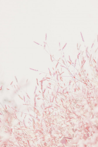 Pastel Wallpaper HD Hq