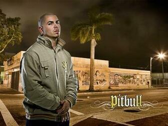 Wallpaper Pitbull