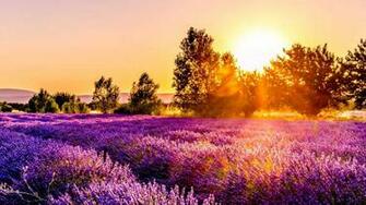 August Wallpaper For iPhone Ipod And iPad Shilfa