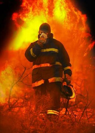 Carmel Forest Fires By Shimon Edri Earth Shots