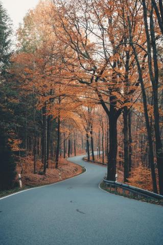 Beautiful Scenery Pictures Image