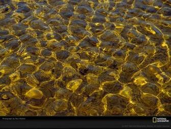 This Photo Is From Patterns In Nature Water