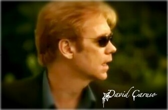 Horatio Caine David Caruso Wallpaper Photo