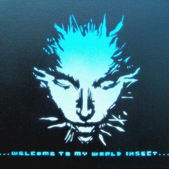 Welcome To My World Insect Text With Black Background Quote