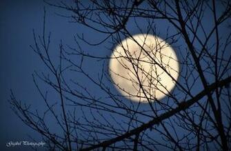 Moon By Gigibl Caedes Desktop Wallpaper