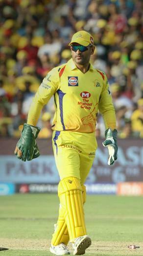 Scarlet Ibis On Msd Cricket Wallpaper Dhoni