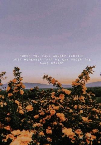 Relatable Wallpaper Quotes Quote Aesthetic Phone