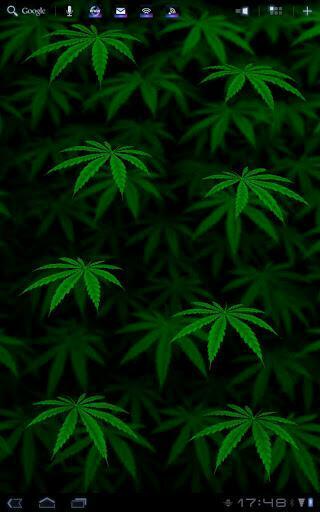 Live Wallpaper For Android My Ganja
