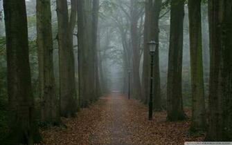Foggy Gloomy Day UltraHD Wallpaper Printed