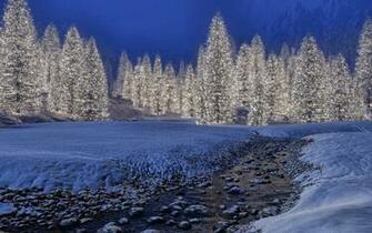 Only Wallpaper Nature Girls Selective Wide Screen Full