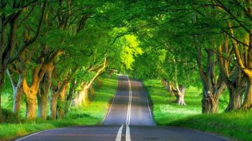 Beautiful Nature Wallpaper For Desktop HD