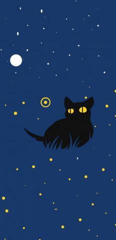 Black Cat Galaxy Wallpaper On