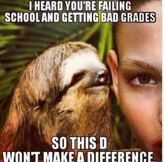 Funny Sloth Wallpaper Full