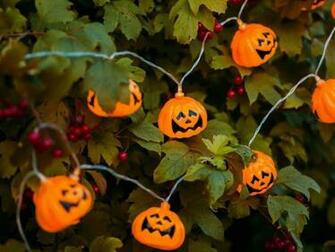 Cute Haloween Bing Wallpaper For Decorated Halloween