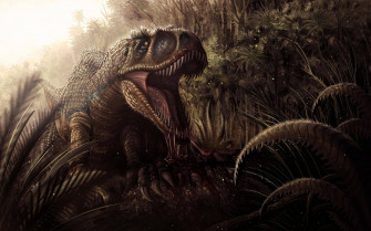 Dinosaur Wallpaper