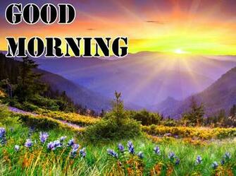 Good Morning Image Whatsappstatusg