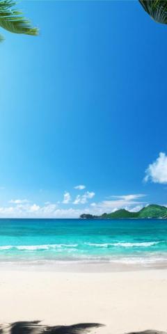 Best Wallpaper For iPhone And Pro