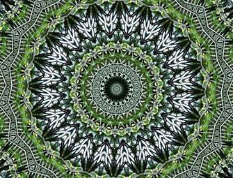 Lace Background Textures Patterns Kaleidoscopic Circles