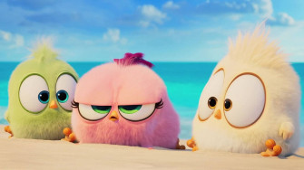 The Angry Birds Movie Wallpaper